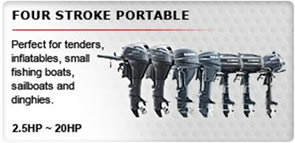 4 Stroke Portable